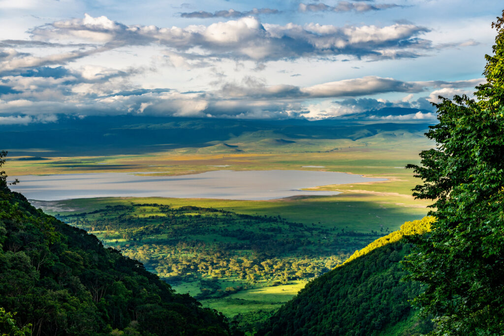 Elevated,View,Of,Floor,Of,Ngorongoro,Crater,From,The,Southern