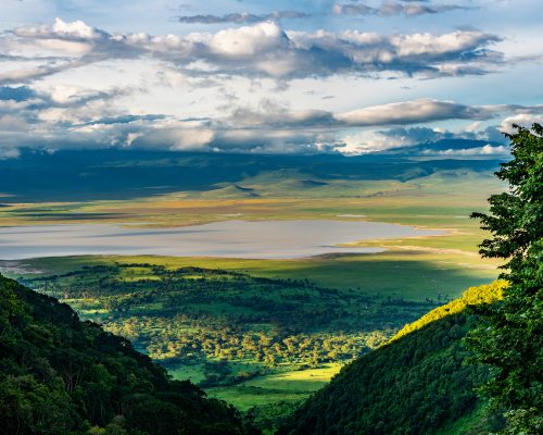 Elevated,View,Of,Floor,Of,Ngorongoro,Crater,From,The,Southern